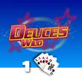 Deuces Wild 1 Hand - PLACEBET138