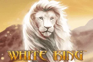 White King - PLACEBET138