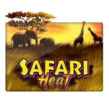 Safari Heat - PLACEBET138