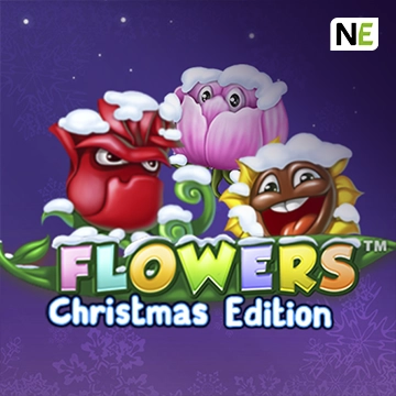 Flowers Christmas Edition - PLACEBET138