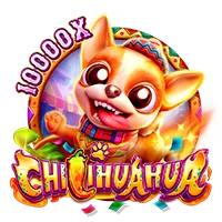 CHILIHUAHUA - PLACEBET138