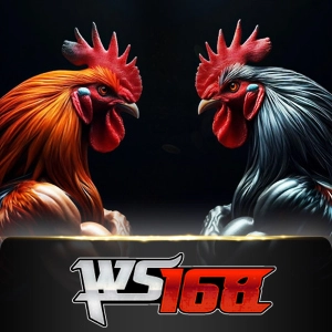 Ws168 Sabung - PLACEBET138