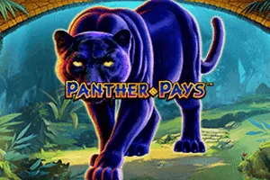 Panther Pays - PLACEBET138