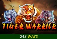 Tiger Warrior - PLACEBET138