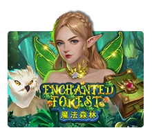 Enchanted Forest - PLACEBET138