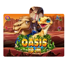 Oasis - PLACEBET138